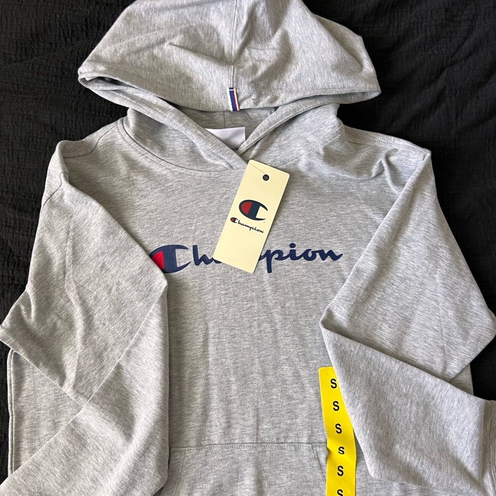 Champion hoodie women’s size small Lot